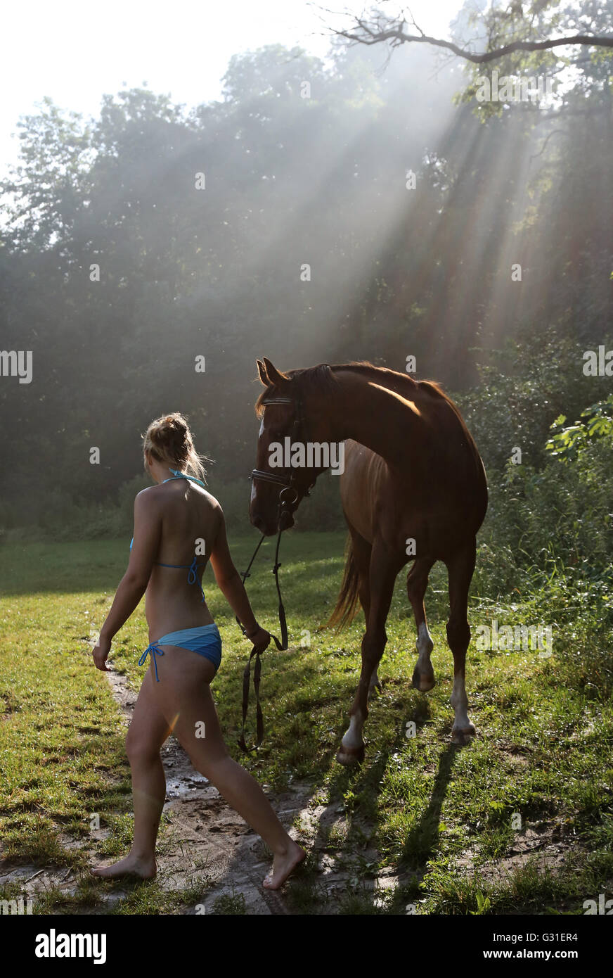 Schwerin, Germania, Donna in bikini e il suo cavallo sono in rastrellando la luce in una radura del bosco Foto Stock