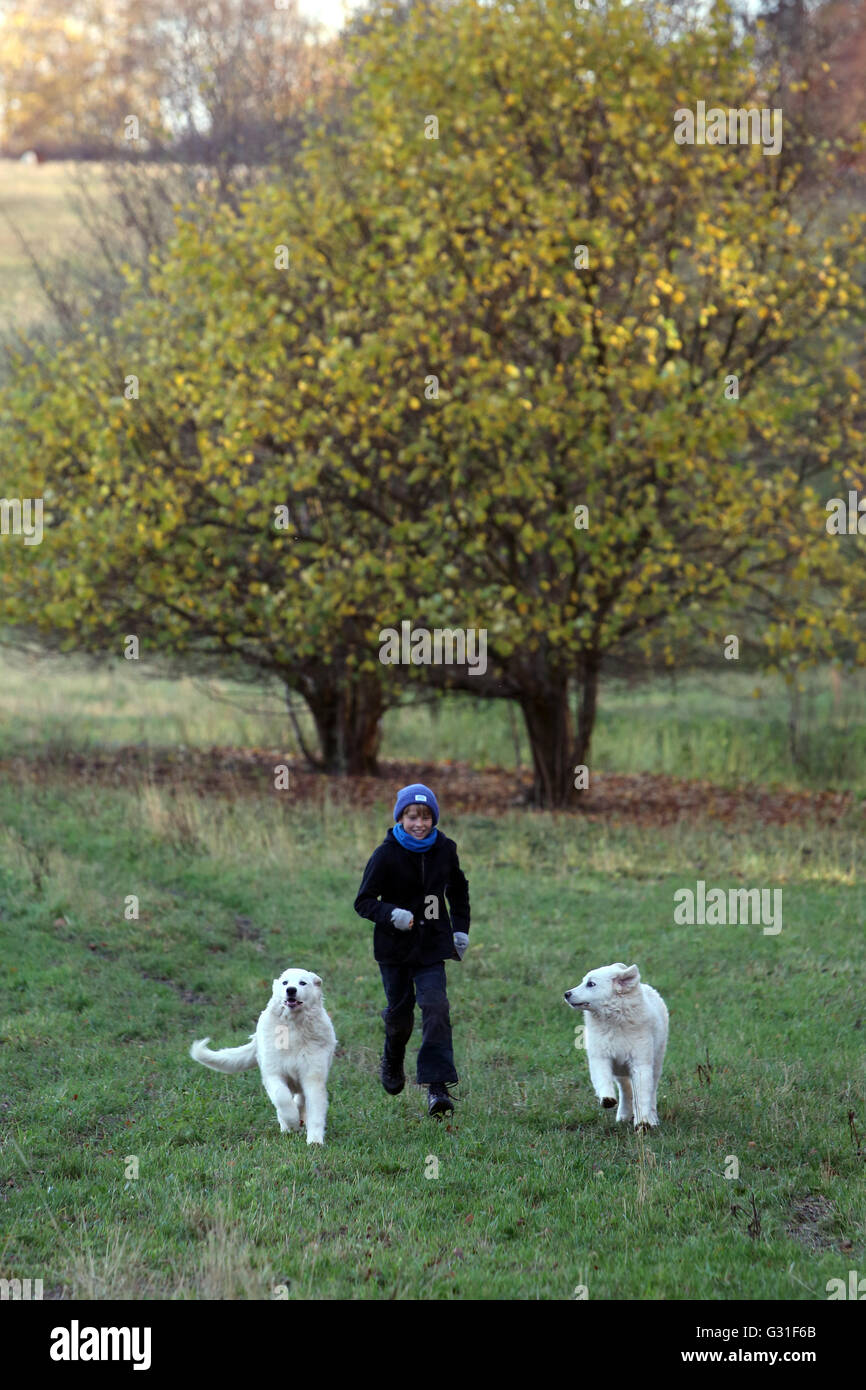 Nuovo K twin, Germania, ragazzo corre con due Pyrenaeenberghunden su un prato Foto Stock