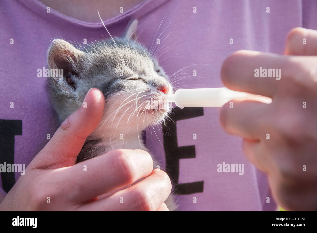 Feed Ragazza con gatto latte Foto Stock