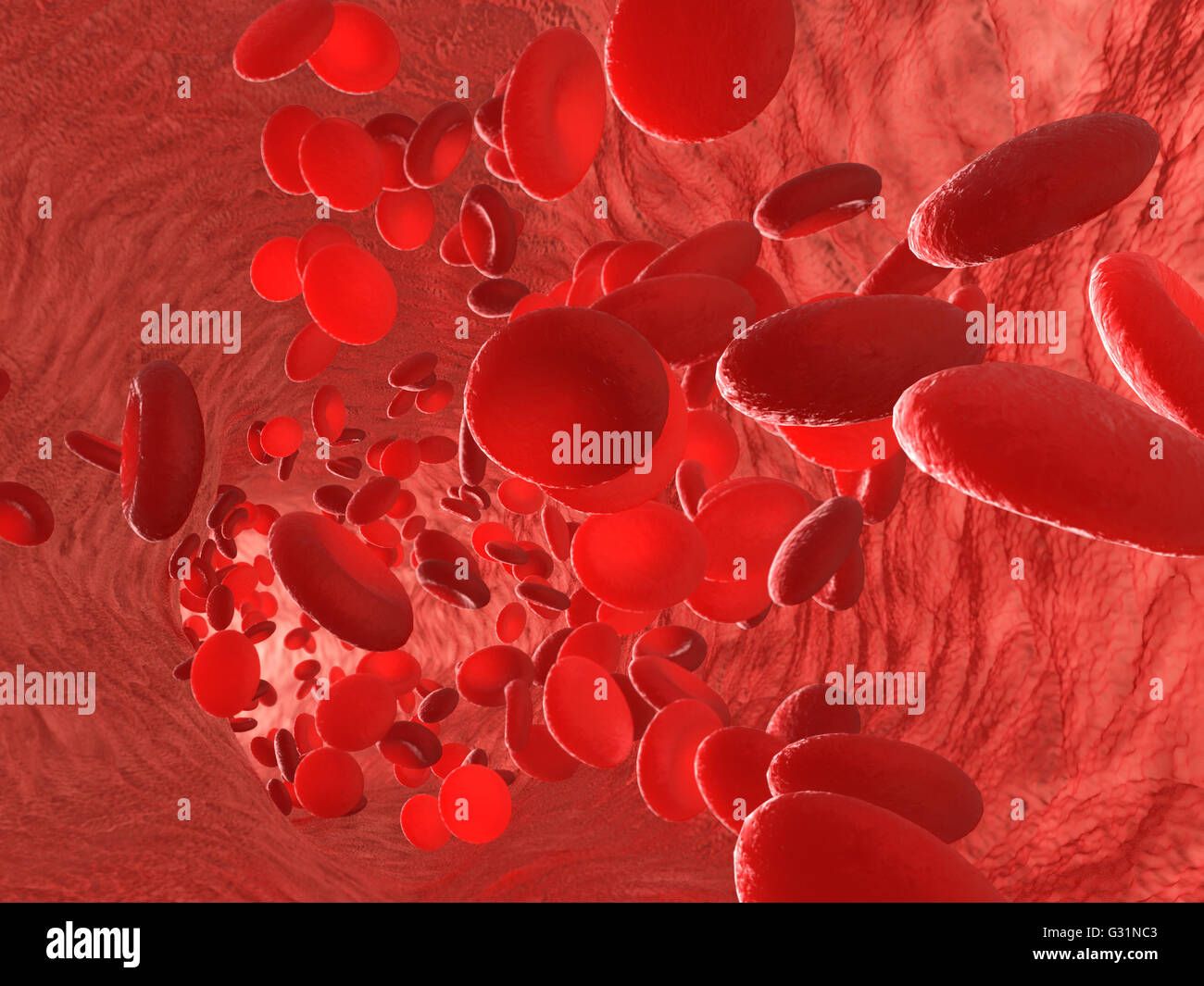 Le cellule rosse del sangue eritrociti in interni di arteriosa o capillare vaso sanguigno. Mostra cellule endoteliali e il flusso di sangue o stre Foto Stock