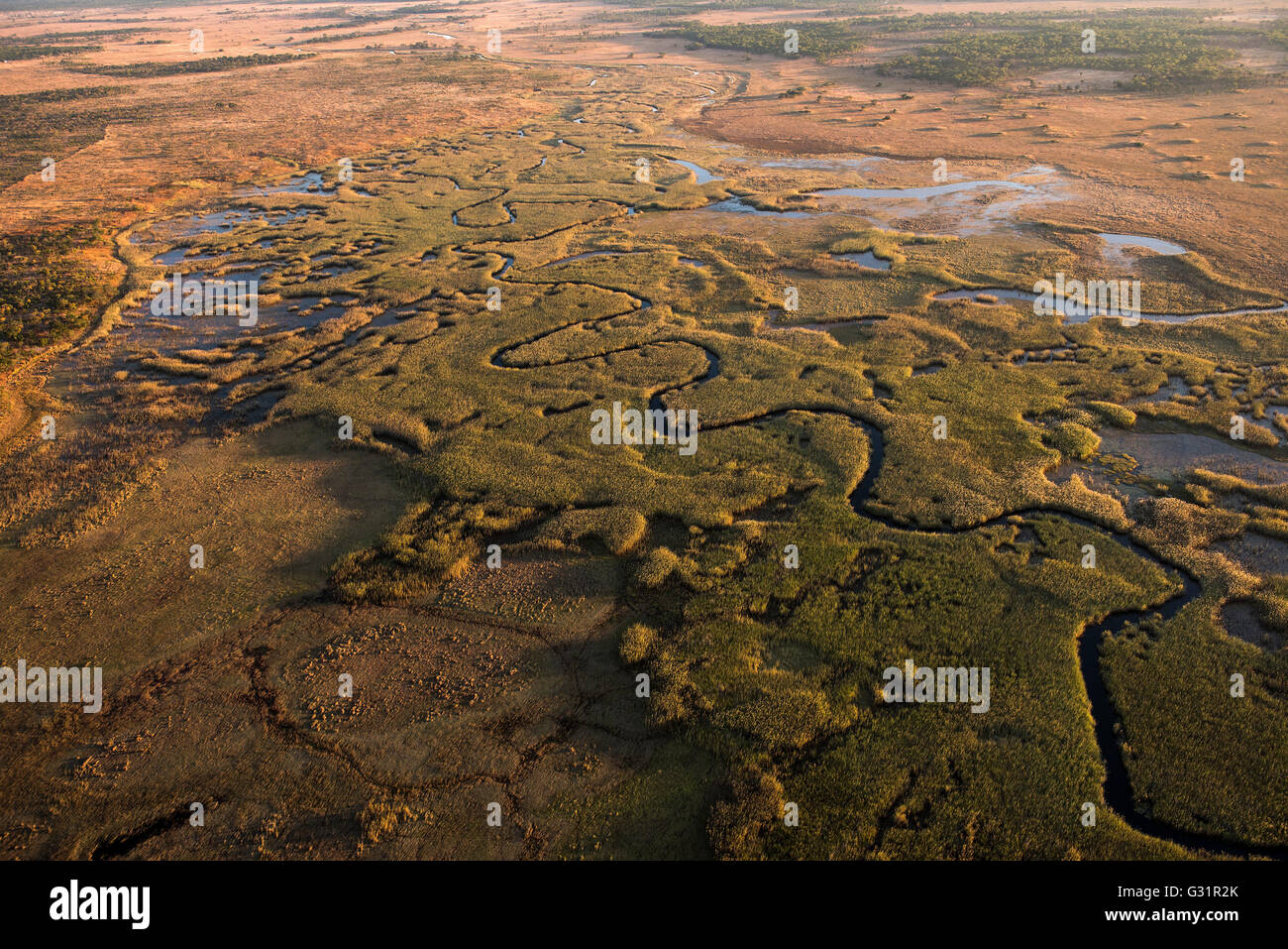 (160606) -- CUANDO-KUBANGO, 6 giugno 2016 (Xinhua) -- Foto scattata il 3 giugno 2016 mostra il paesaggio di Mavinga area di conservazione in Cuando-Cubango, Angola. Mavinga area di conservazione si trova sulla parte est dell'Angola Provincia Cuando-Cubango, essendo parte del Kavango-Zambezi transfrontaliera Area di Conservazione spanning cinque paesi dell Africa australe, Angola, Botswana, Namibia, Zambia e Zimbabwe. (Xinhua/Sun Ruibo) Foto Stock