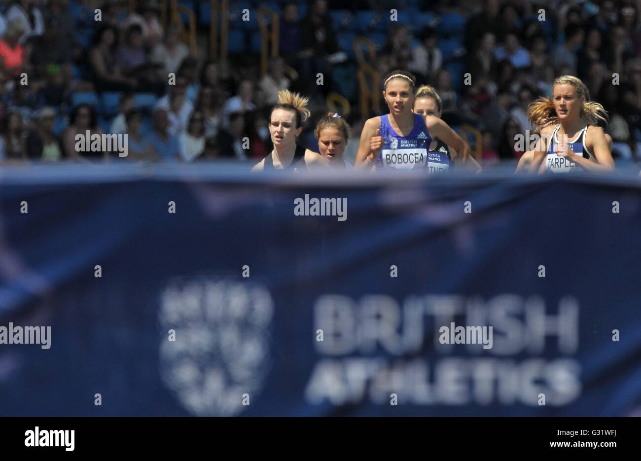 Birmingham, Regno Unito. 05 Giugno, 2016. (L a r) Sarah McDonald (GBR), Claudia Mihaela Bobocea (ROU) e Claire Tarplee (IRL) con il British atletica logo (Womens 1500m). IAAF Diamond League. Alexander Stadium. Perry Barr. Birmingham. Regno Unito. 05/06/2016. Credito: Sport In immagini/Alamy Live News Foto Stock