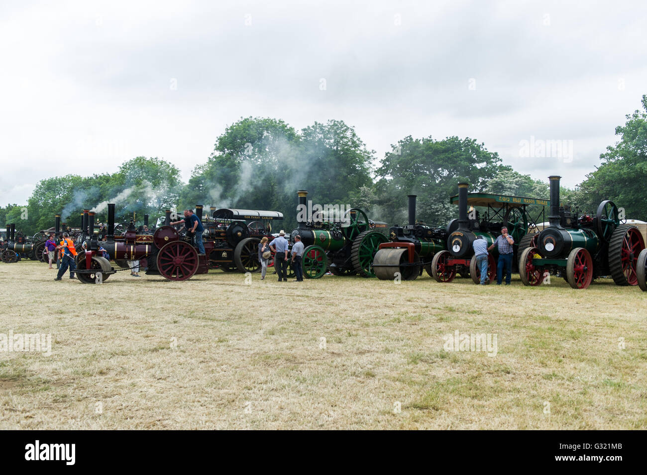 Innishannon, Irlanda. Il 6 giugno 2016. Xix Innishannon vapore & Vintage Rally si è tenuto questo fine settimana, in aiuto della Irish Cancer Society. Motori a vapore di tutto l' Irlanda e il Regno Unito hanno preso parte nel XIX Innishannon vapore & Vintage Rally. Credito: Andy Gibson/Alamy Live News. Foto Stock