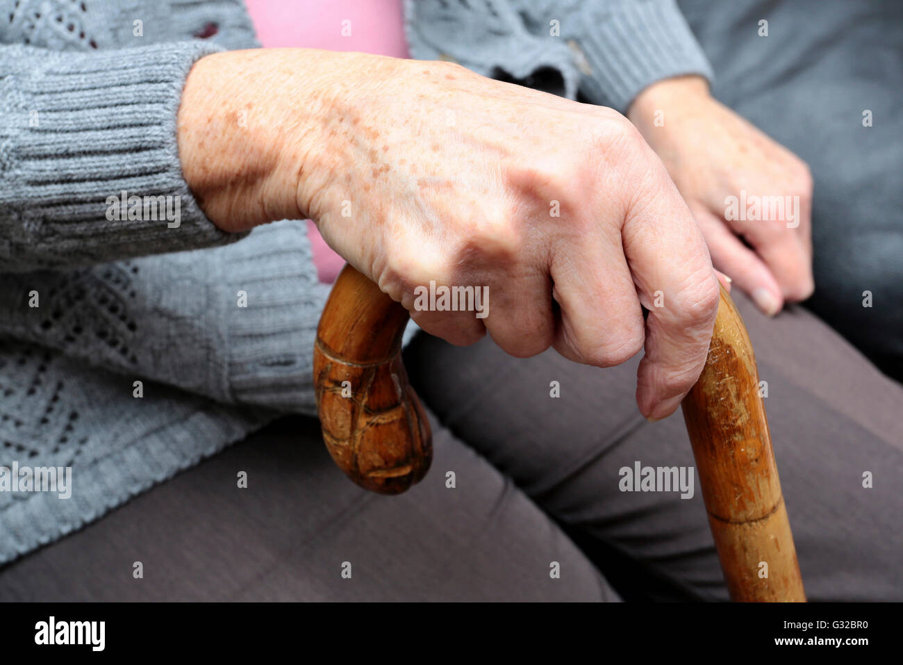 Una mano di una donna anziana su una canna da zucchero Foto Stock