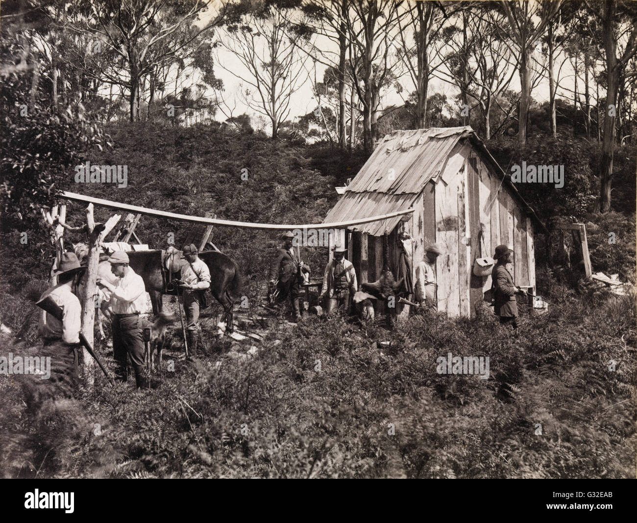 Archibald James Campbell - Bertie's capanna, i naturalisti ' Club spedizione in King Island - Museo Victoria, Carlton Australia Foto Stock