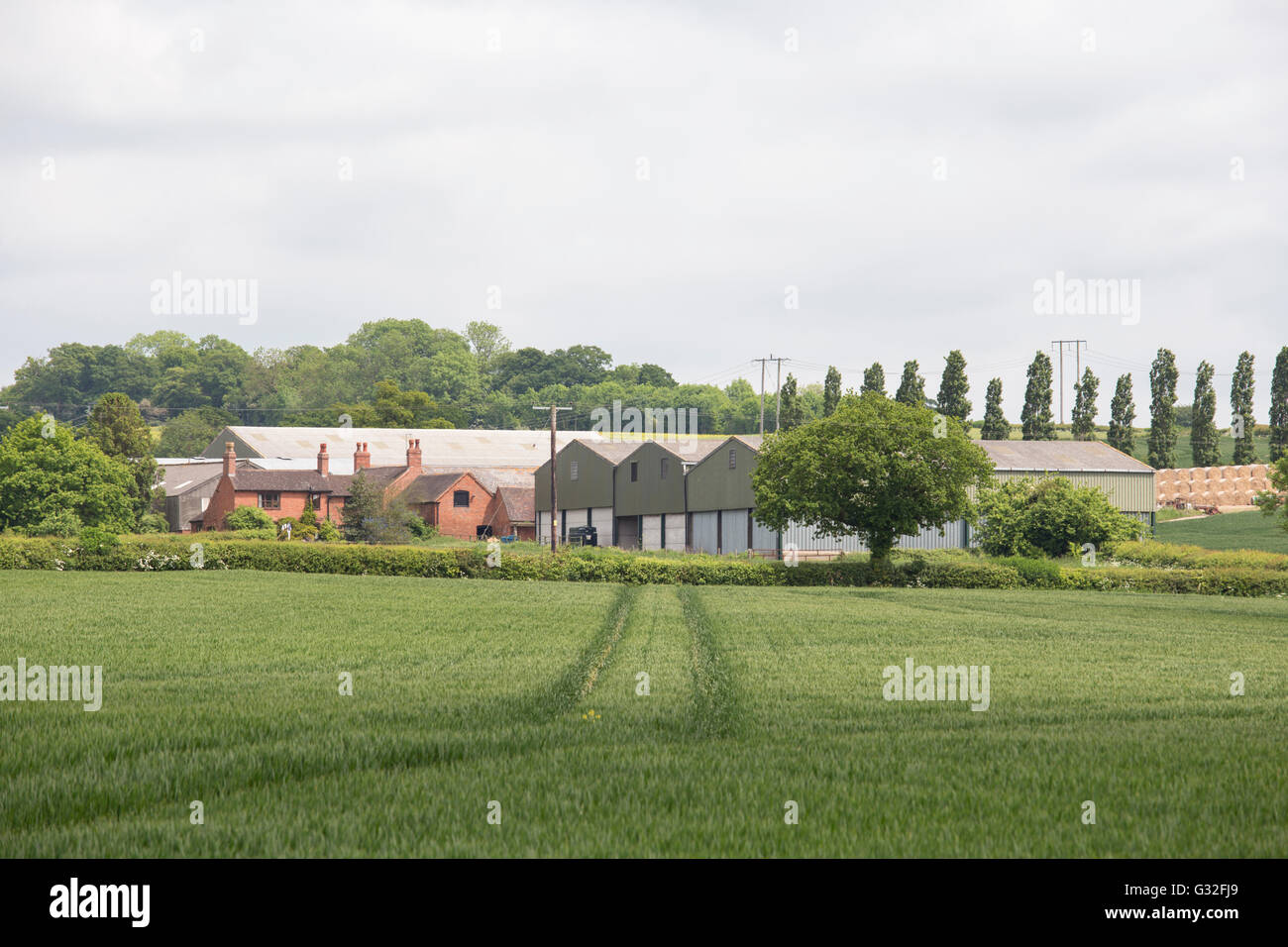Una fattoria tradizionale circondato da moderni edifici agricoli, Worcestershire, England, Regno Unito Foto Stock