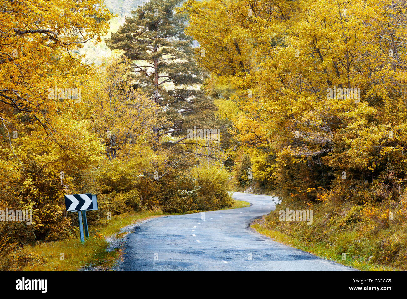 Strada curva e Bosco in autunno Foto Stock