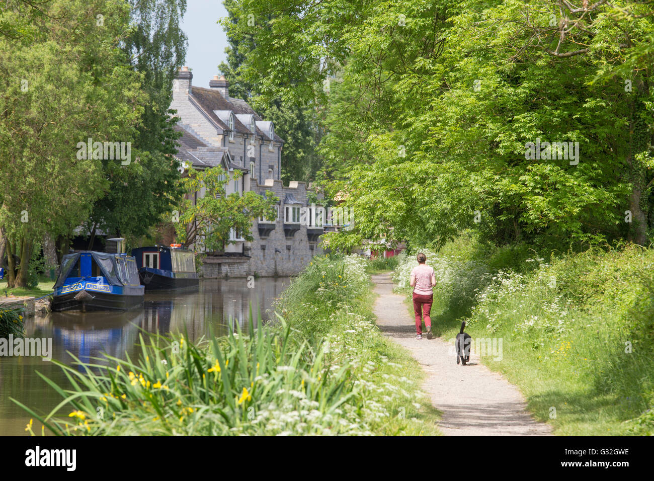 Passeggiate in Stratford upon Avon Canal vicino Wilmcote, Warwickshire, Inghilterra, Regno Unito Foto Stock