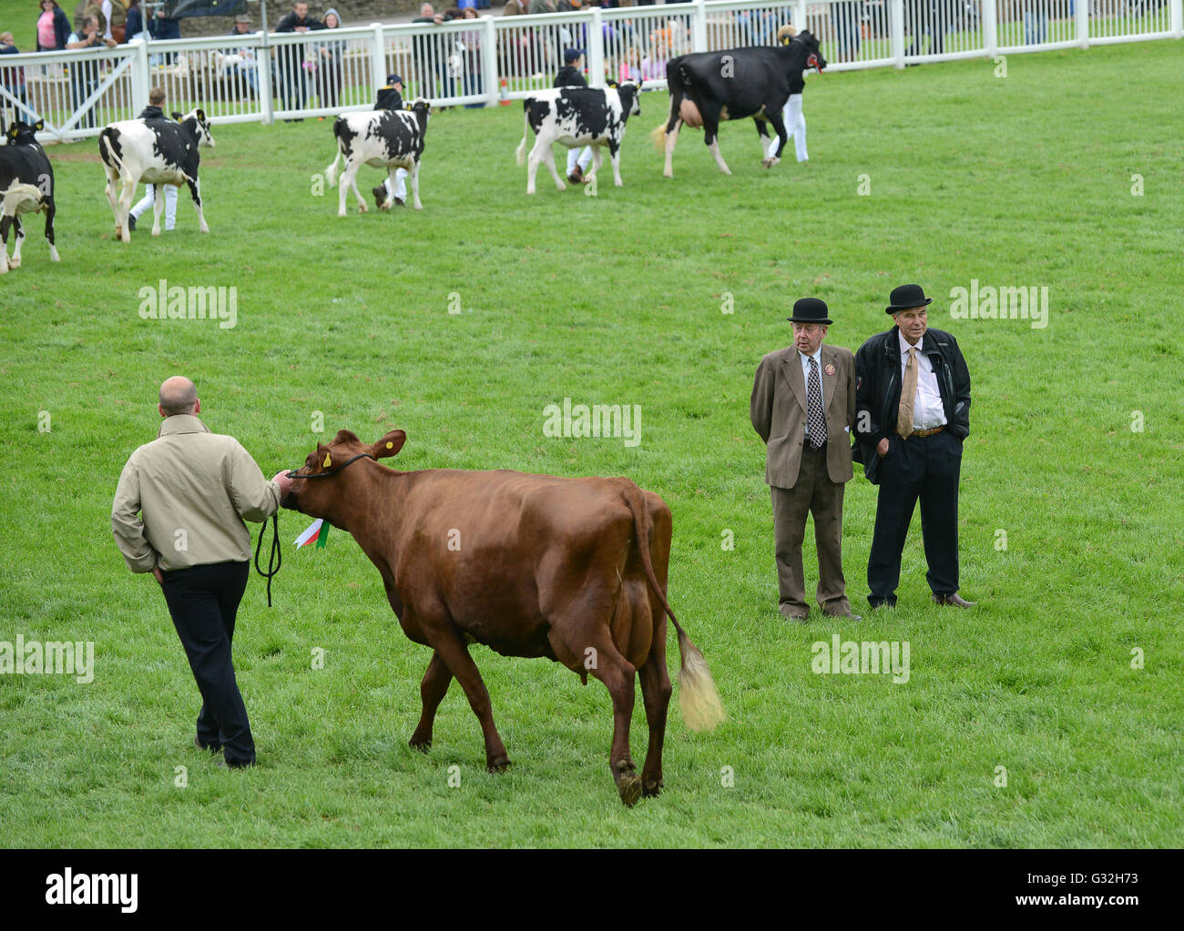 Giudici e funzionari indossando il tradizionale Bowler Hats Staffordshire County Visualizza Foto Stock