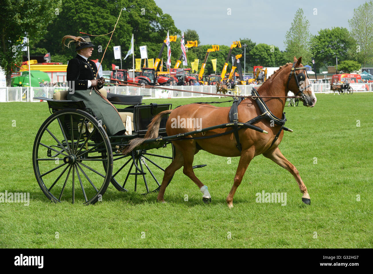 Donna alla guida del cavallo e del rig British la guida della società mostrano Staffordshire County Visualizza Foto Stock