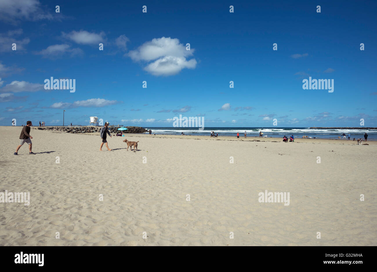 Persone e cani a Dog Beach a Ocean Beach. San Diego, California. Foto Stock