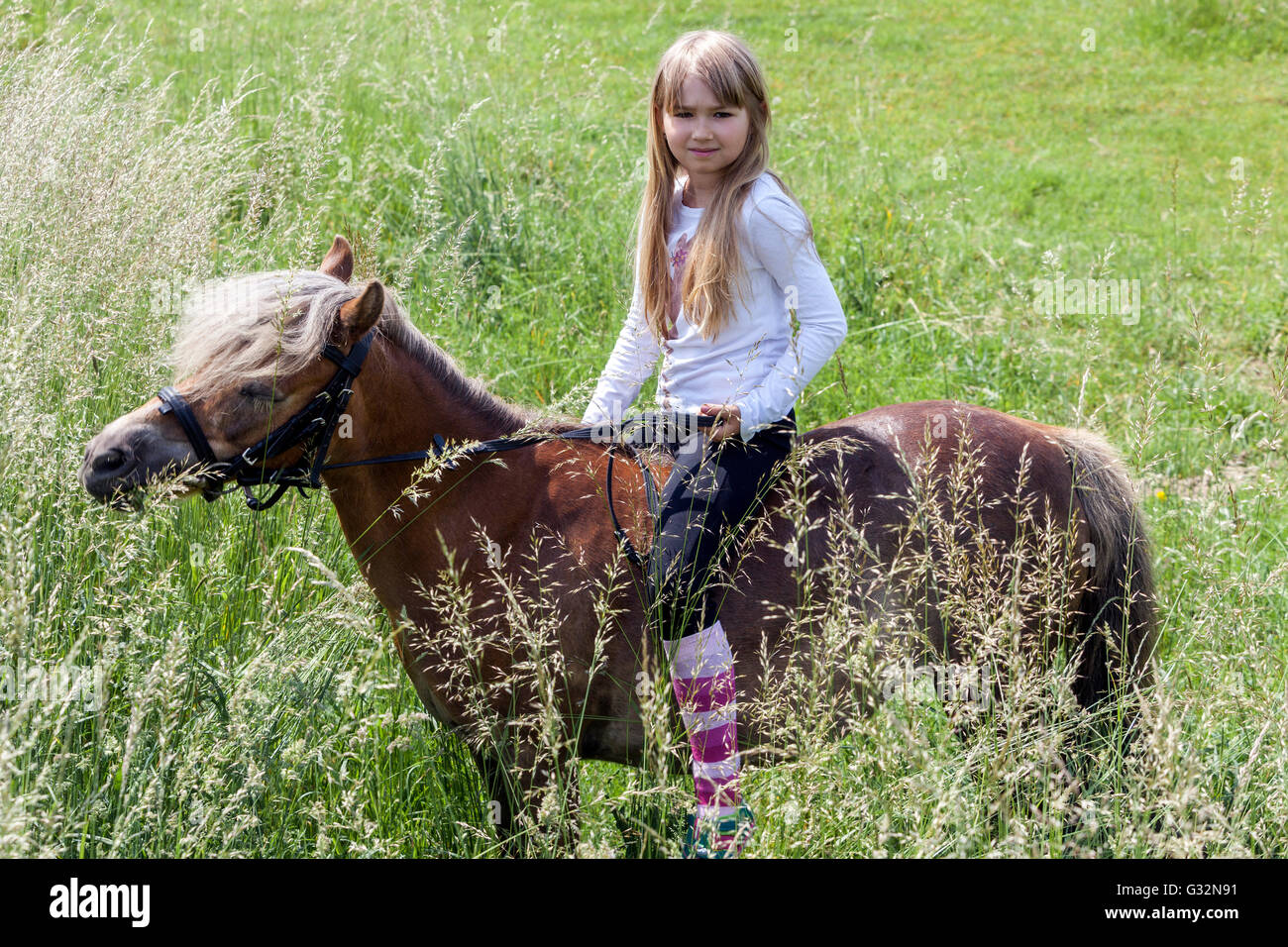 Bionda 6 anni, bambina cavallo pony bambino su pony Kid Foto Stock