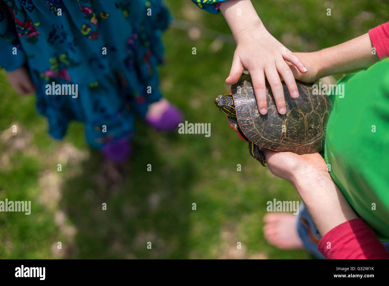 Un ragazzo e una ragazza tenendo una tartaruga Foto Stock