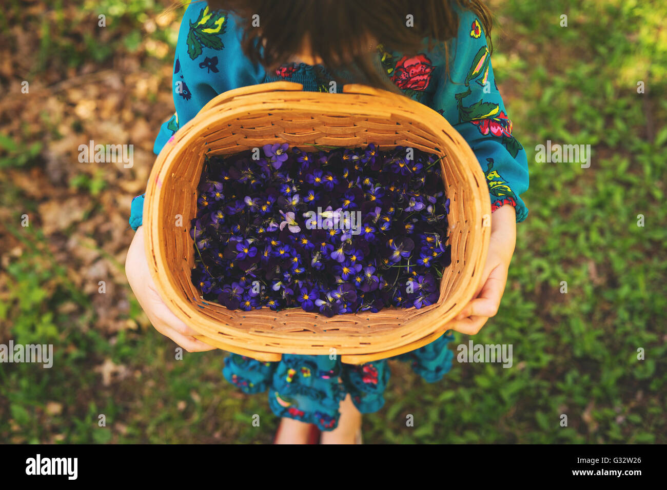 Vista aerea del bambino holding cesto pieno di fiori viola Foto Stock