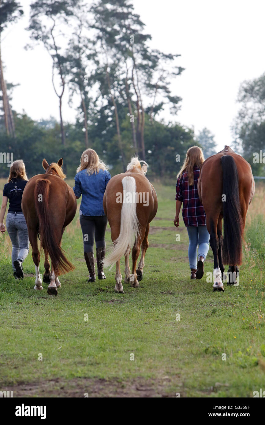 Brieselang, Germania, ragazza camminare insieme con i loro cavalli Foto Stock