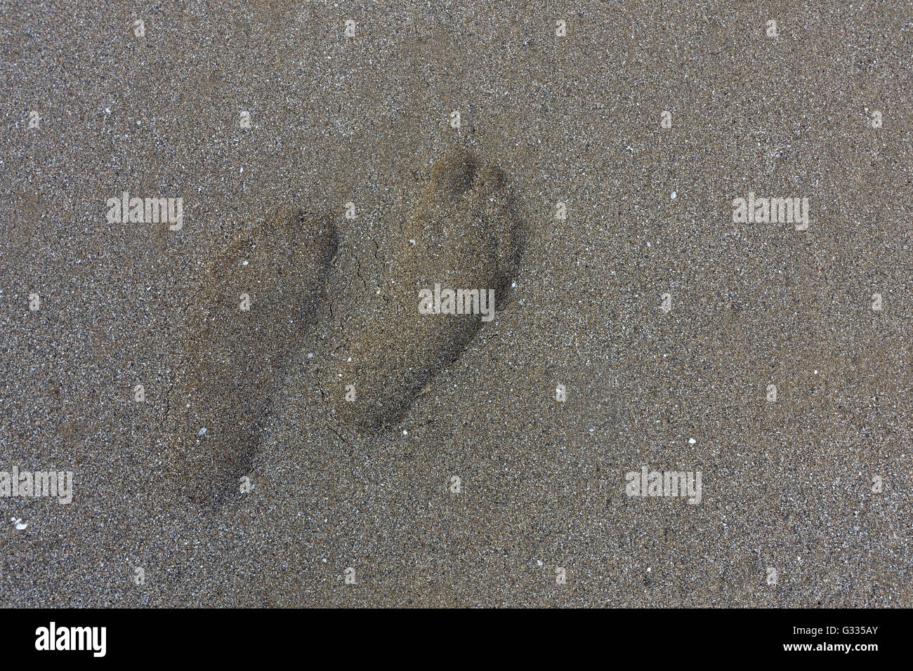 Aci Trezza, Italia, impronte nella sabbia Foto Stock