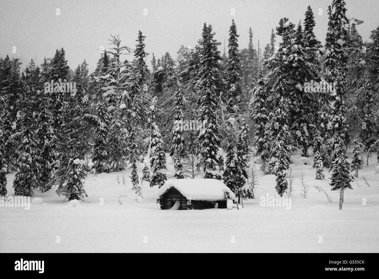 ?K skero, Finlandia, snowbound cabina in legno nella parte anteriore di una foresta di conifere Foto Stock