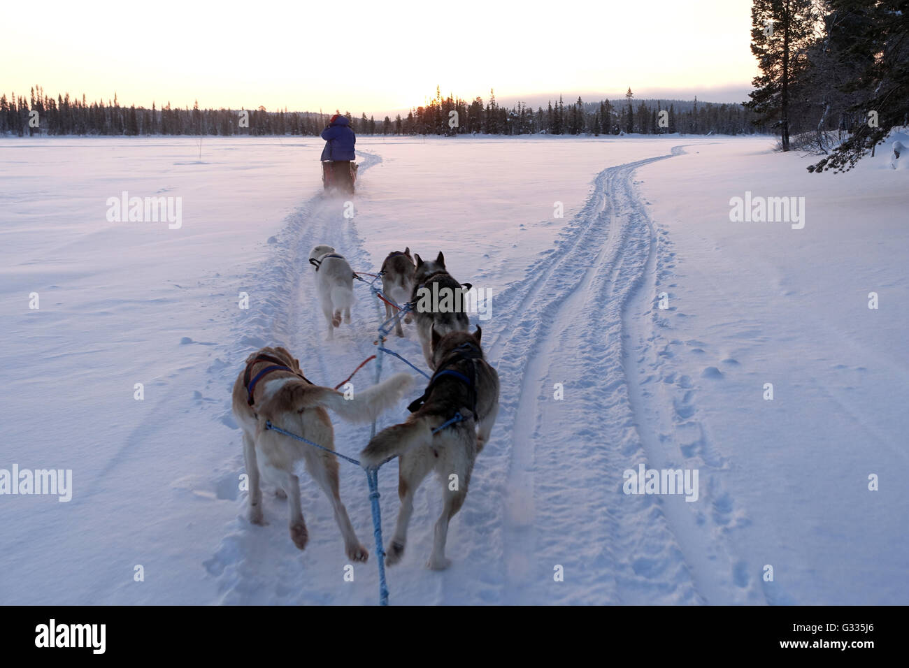 ?K skero, Finlandia, le persone a fare un giro su dogsled Foto Stock