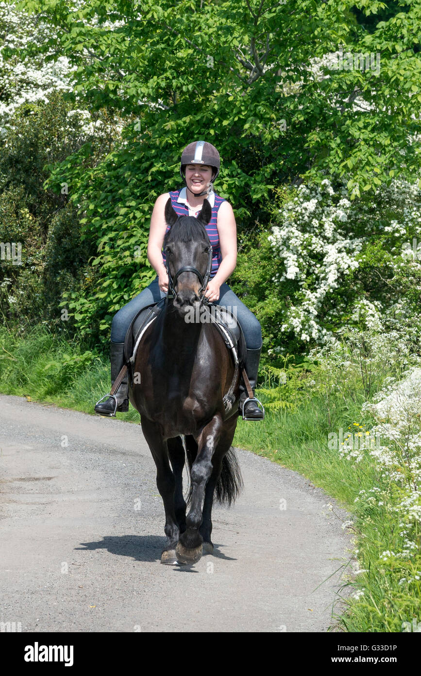 Cavaliere a cavallo su un vicolo del paese nella campagna inglese. Una soleggiata giornata estiva. Foto Stock