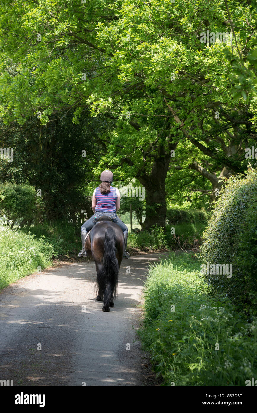 Cavaliere a cavallo su un vicolo del paese nella campagna inglese. Una soleggiata giornata estiva. Foto Stock