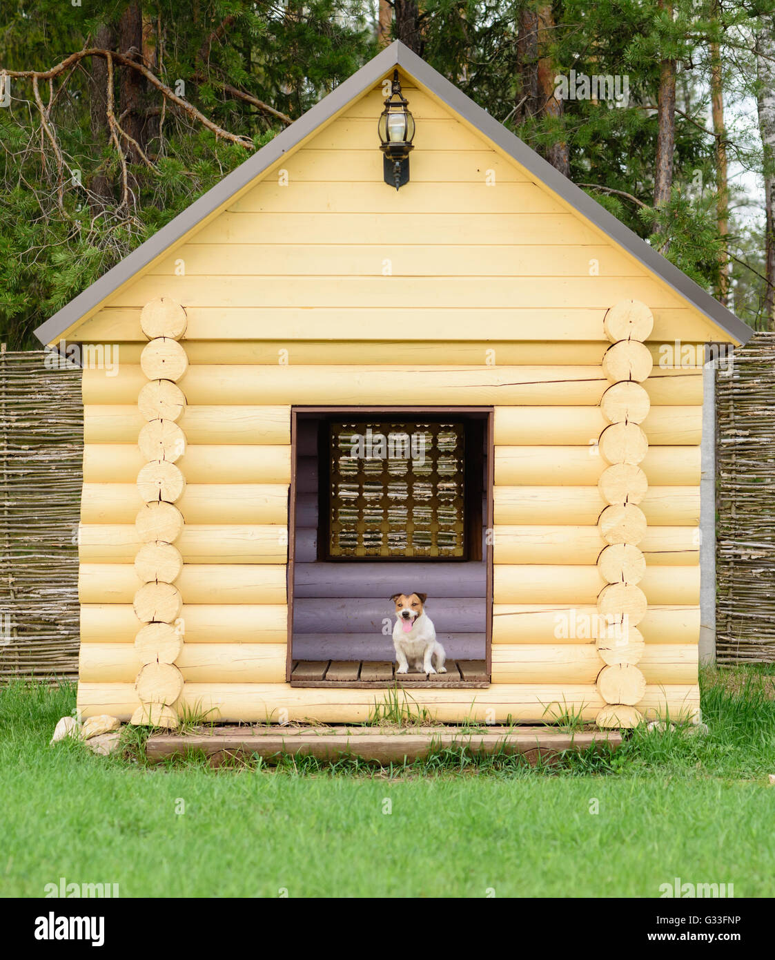 Il Pet dog sitter a big doghouse a back yard Foto Stock