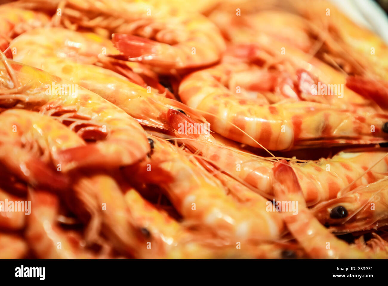 Vista ravvicinata di gamberetti freschi al mercato del pesce Foto Stock