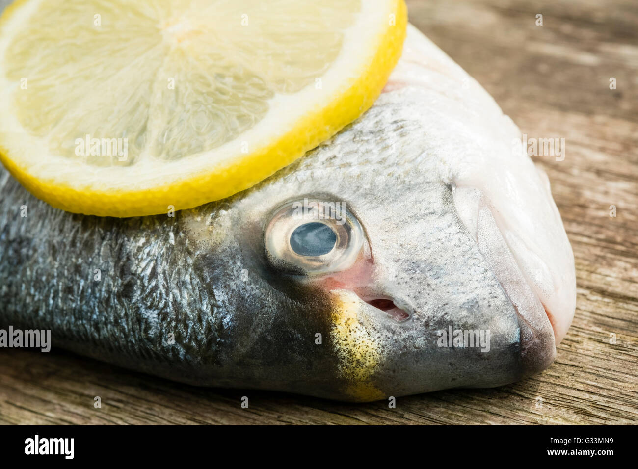 Orate di mare pesce con una fettina di limone. Foto Stock
