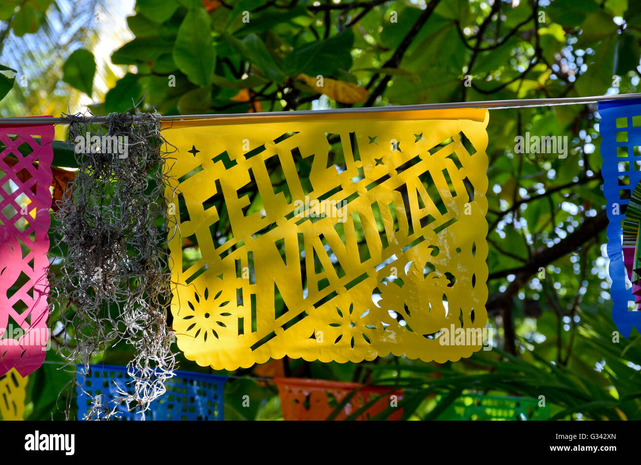 Taglio Laser decorazioni di carta per un messicano Christmas party in Messico. Foto Stock