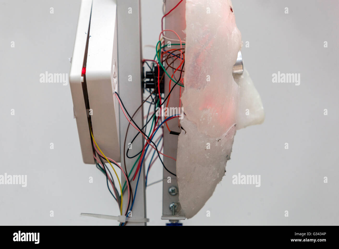 Intelligenza artificiale robot sperimentale, cerca nel futuro Foto Stock