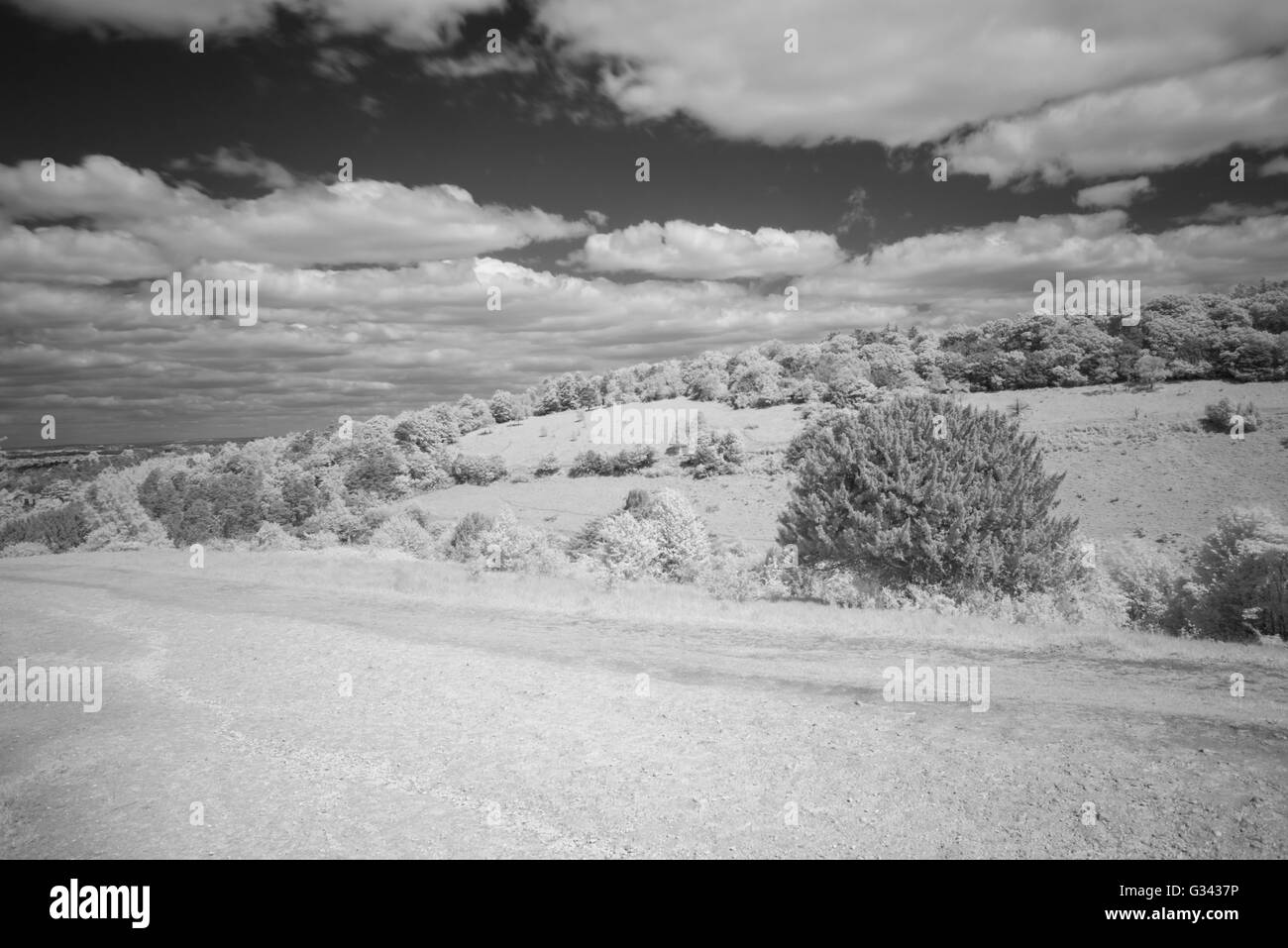 Vista del Box Hill, Surrey, Regno Unito in bianco e nero utilizzando un R72 infra-rosso filtro. Foto Stock