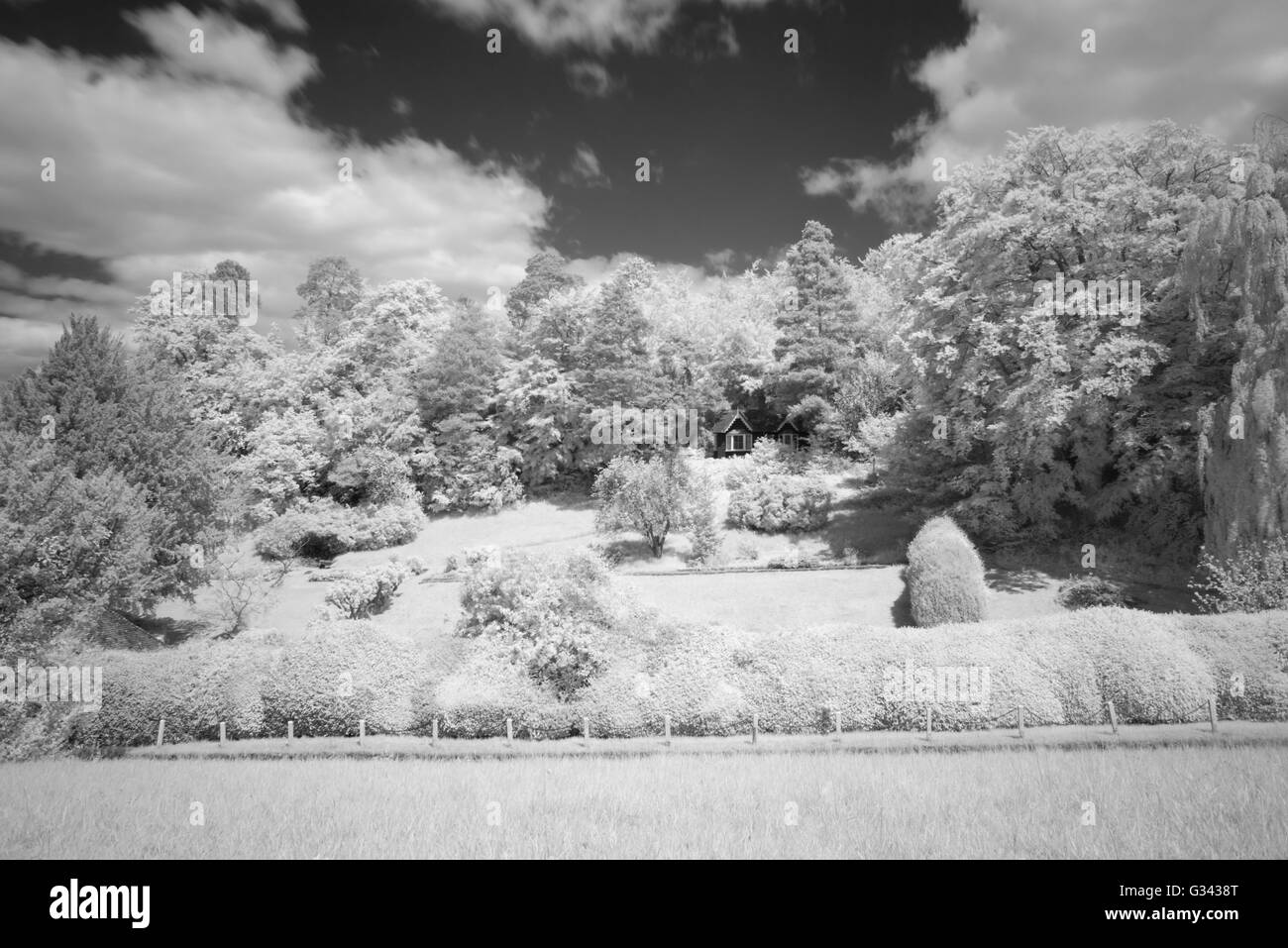 Vista del Box Hill, Surrey, Regno Unito in bianco e nero utilizzando un R72 infra-rosso filtro. Foto Stock