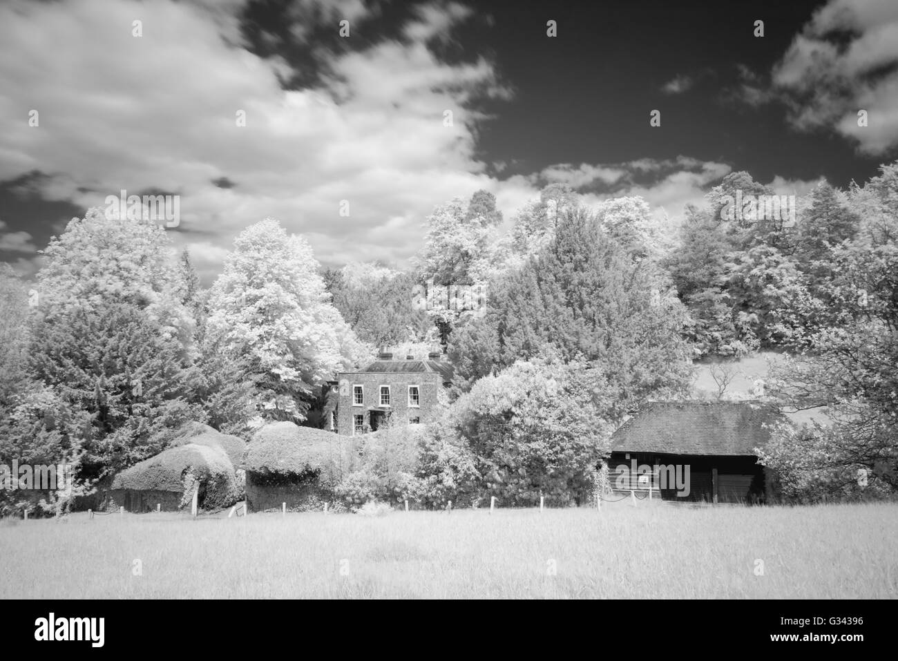 Vista del Box Hill, Surrey, Regno Unito in bianco e nero utilizzando un R72 infra-rosso filtro. Foto Stock