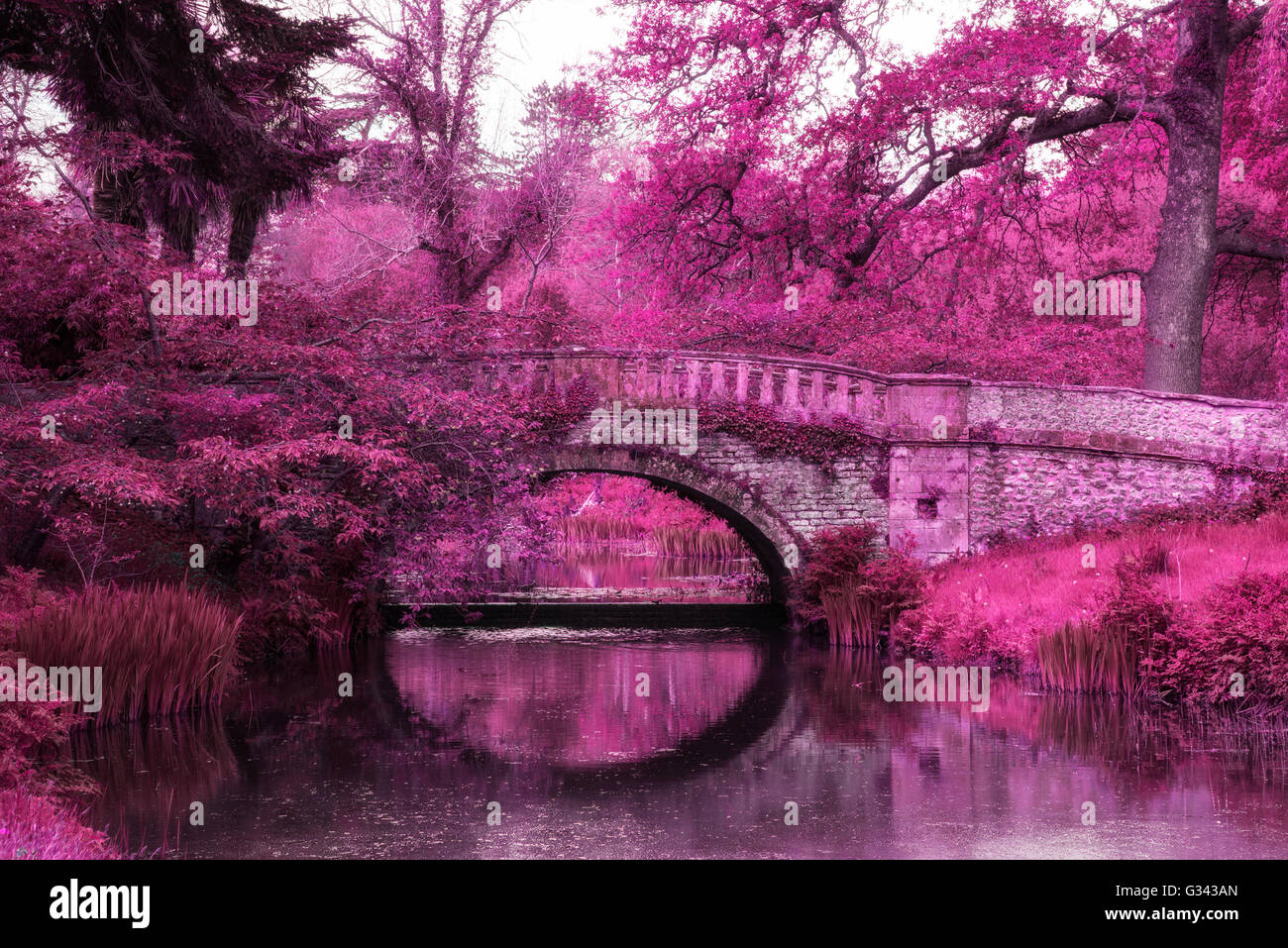 Incredibile infra rosso immagine orizzontale del vecchio ponte sul fiume in campagna Foto Stock