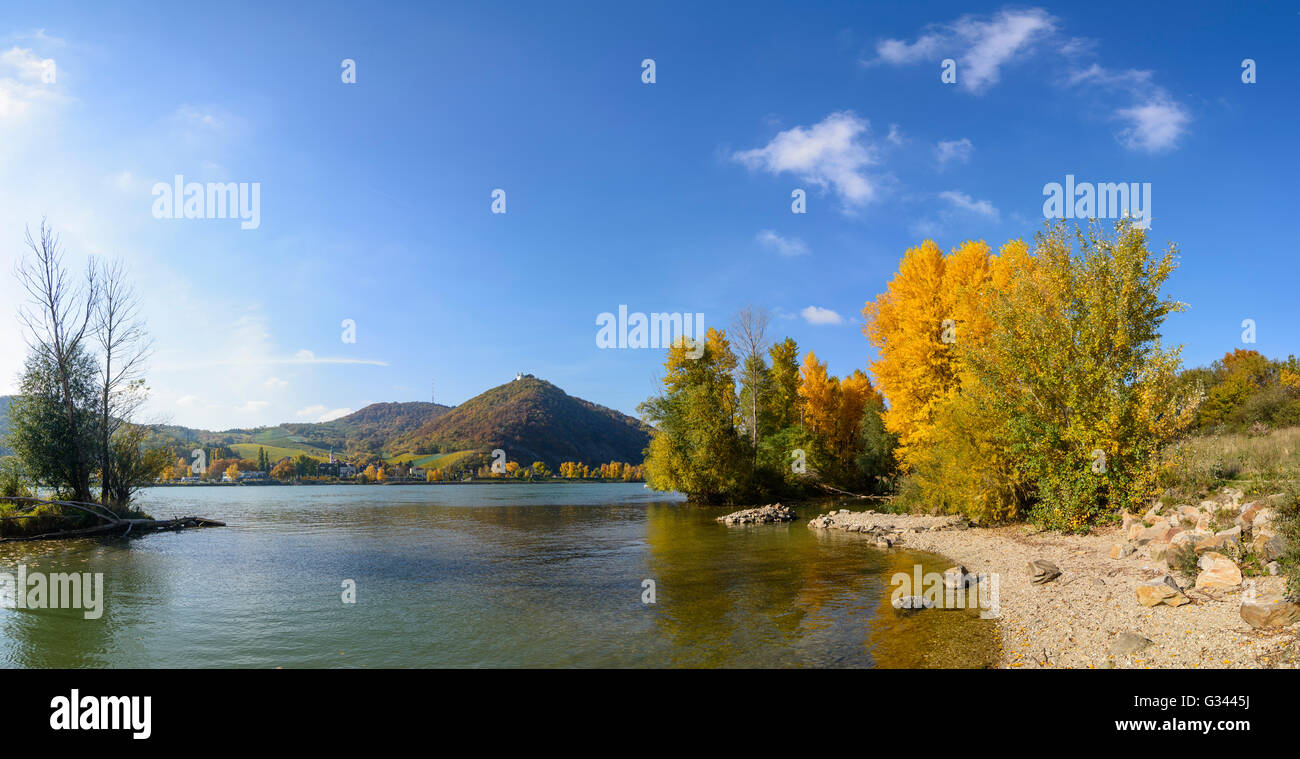 Danubio , Kahlenberg con trasmettitore , Leopoldsberg con San Leopoldo , Kahlenbergerdorf, Austria, Wien, 19., Wien, Vienna Foto Stock