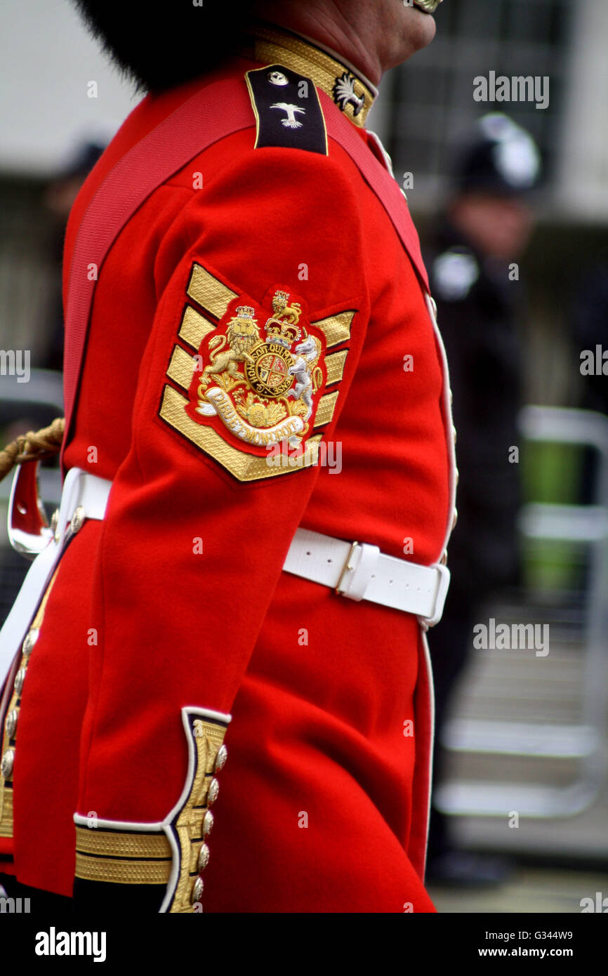 Il Garrison Sgt Major London District durante la Trooping of the Colour. Londra Inghilterra Foto Stock