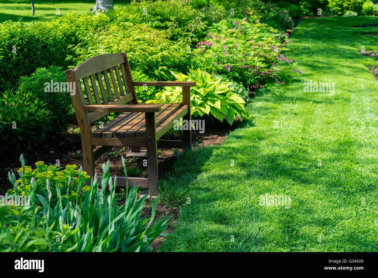 Una panchina nel parco in un giardino verde. Foto Stock