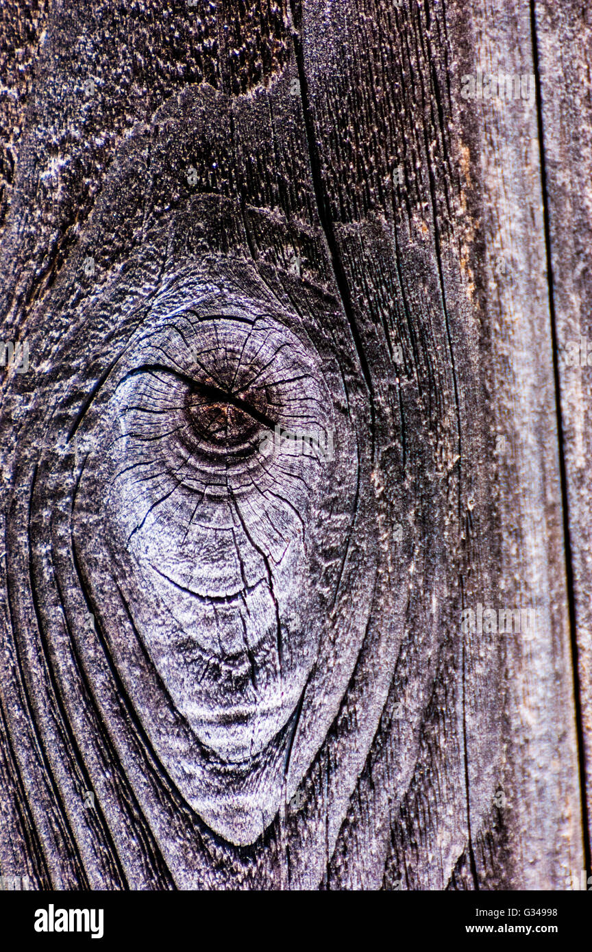 Un nodo in legno invecchiato Foto Stock