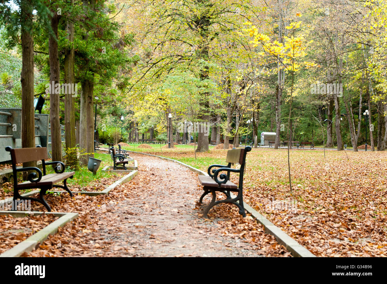 Panchine fiancheggiate lungo il sentiero degli alberi: Tranquilla passeggiata autunnale nella foresta di Borjomi Foto Stock