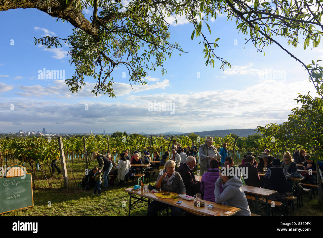 Area di ristoro / wine bar a vino escursioni in giornata Strebersdorf che guarda ai vigneti e il centro della città, Austria, Wien, 21., Wi Foto Stock