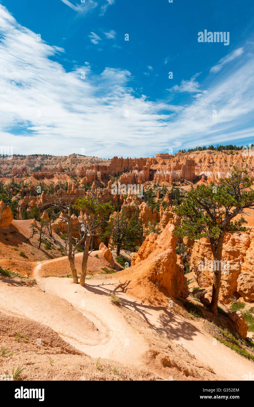 Trail nel paesaggio bizzarro, rossastro paesaggio roccioso con camini di fata, formazioni di arenaria, Parco Nazionale di Bryce Canyon, Utah Foto Stock