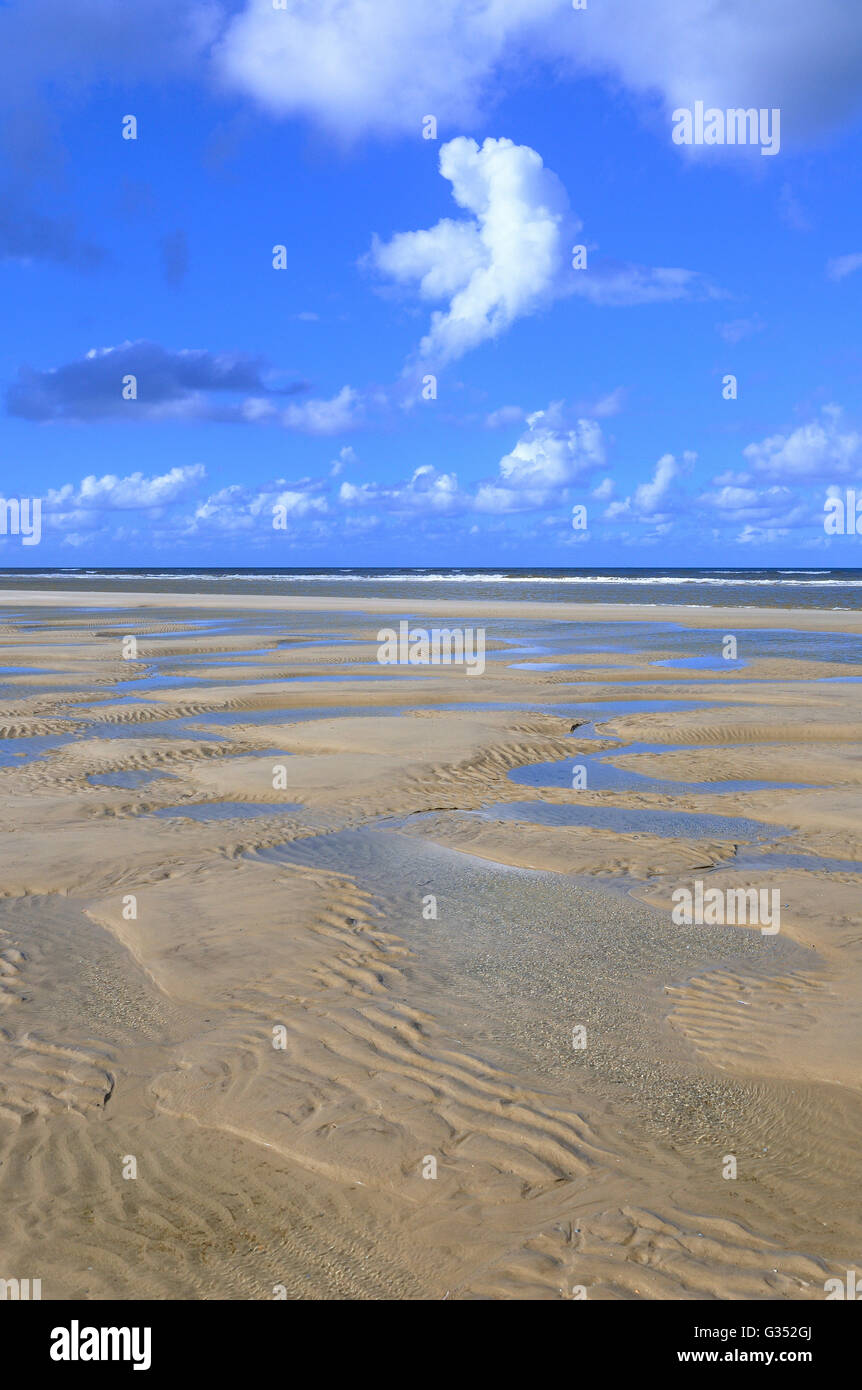 Spiaggia di sabbia con la bassa marea, ondulata, ripple marks, Juist, Est Isole Frisone, Bassa Sassonia, Germania Foto Stock