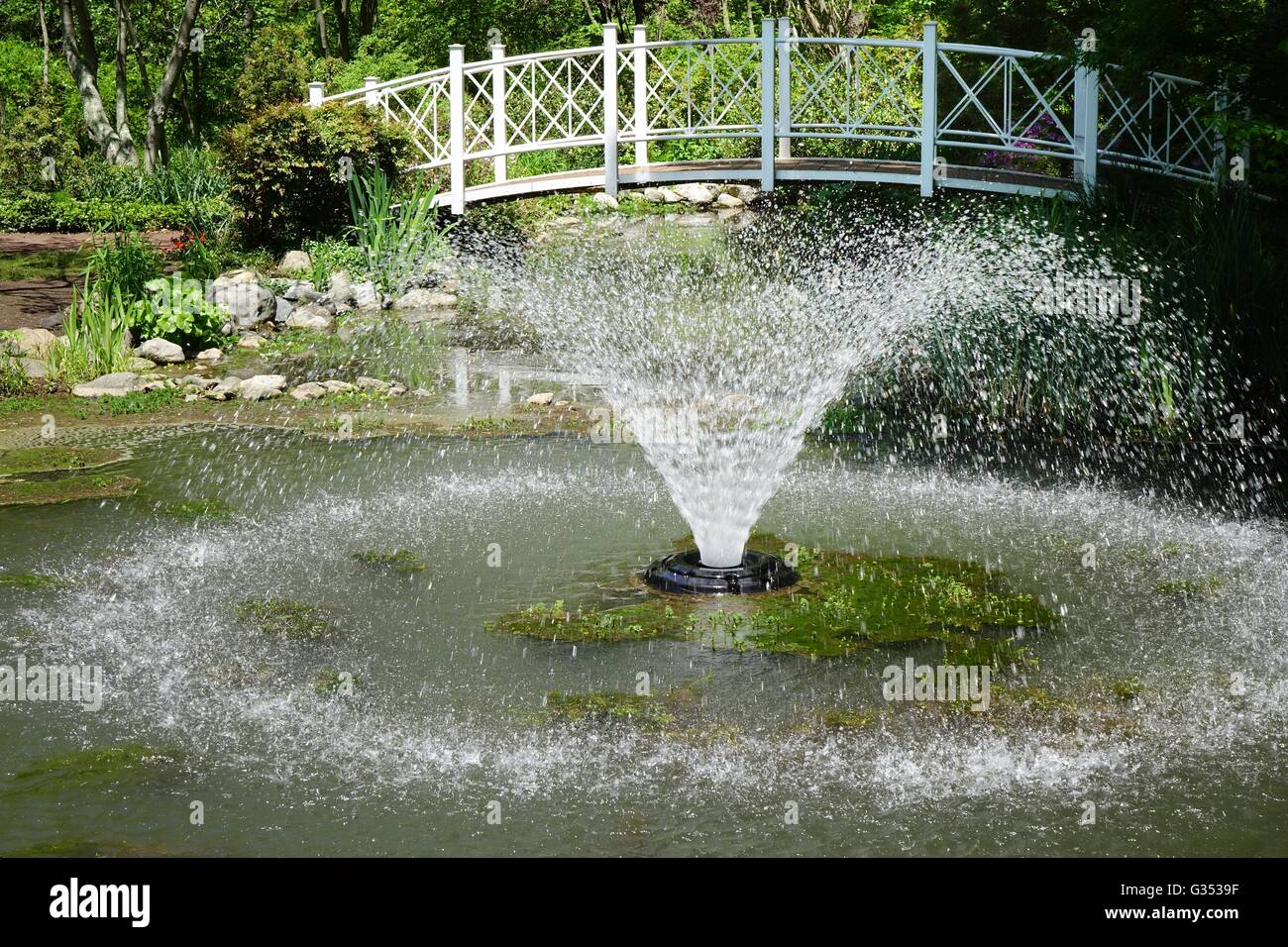 Stagno, fontana e il ponte, Sayen House e giardini Parco, Hamilton, New Jersey, Mercer County Foto Stock