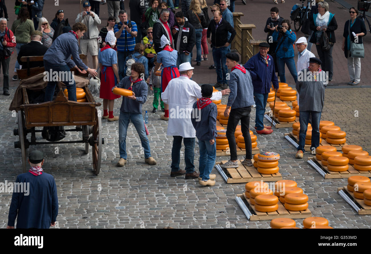 Il giovedì il mercato dei formaggi in Gouda, Paesi Bassi Foto Stock