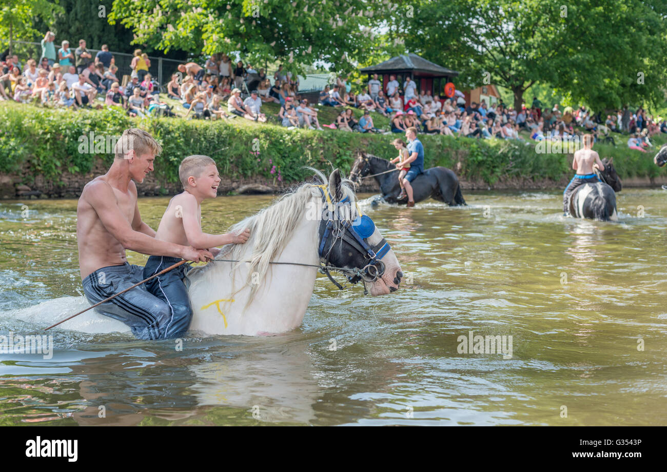 I viaggiatori di equitazione di lavaggio i loro cavalli nel fiume Eden a Appleby Horse Fair, Cumbria, Regno Unito. 2016 Foto Stock