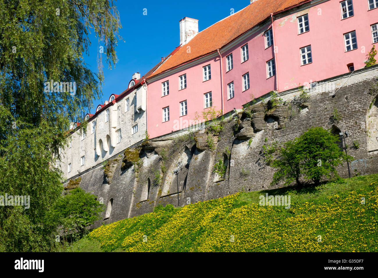 Vista di case sulla collina di Toompea. La città vecchia di Tallinn, Estonia. Foto Stock