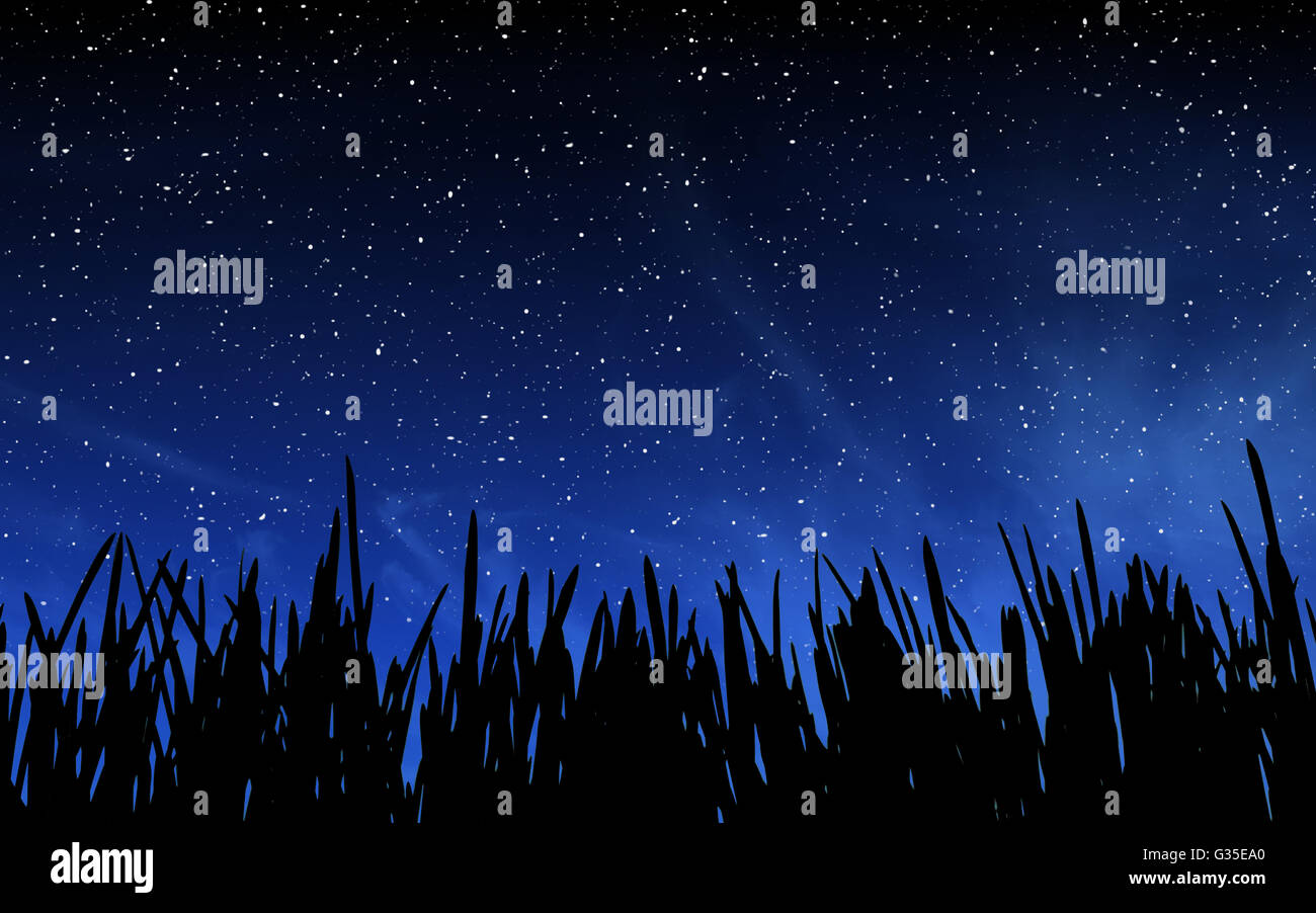 Profondo cielo notturno con molte stelle e lo sfondo di erba Foto Stock