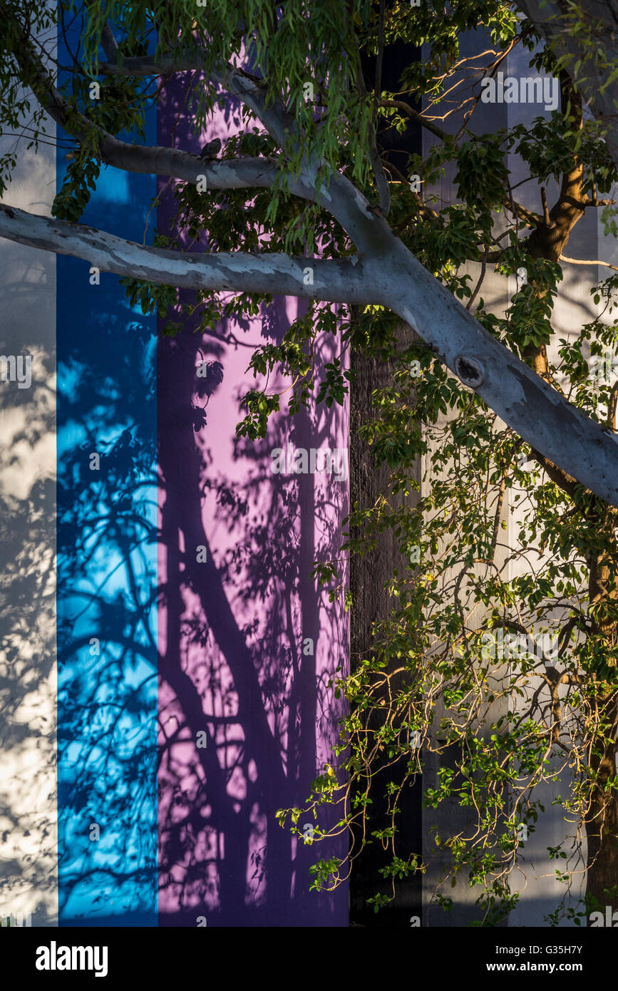 Ombre sulla colorata Museo di Arte Contemporanea, Rosario, provincia di Santa Fe, Argentina Foto Stock