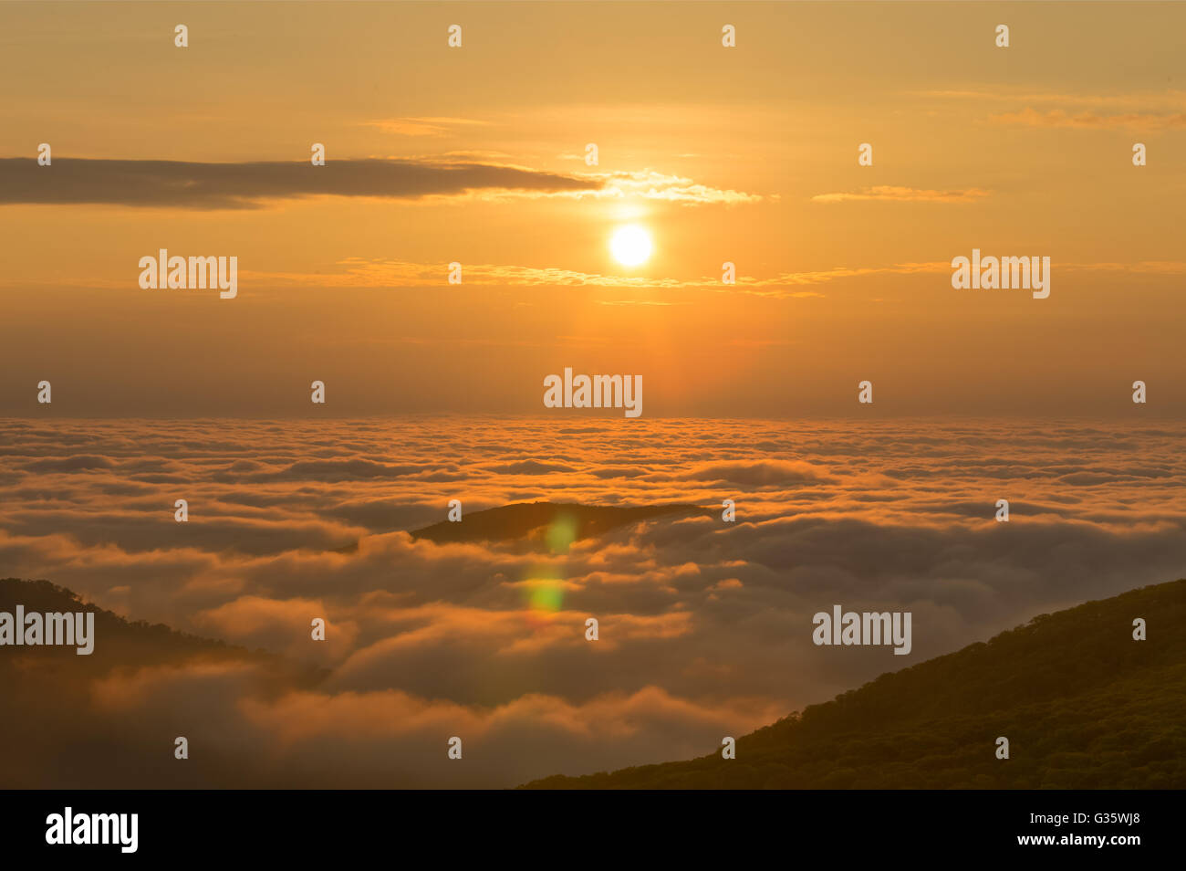 Il sole sorge sopra la valle al di sotto di Shenandoah National Park e getta una luce calda di luce su la nebbia che i laici al di sotto di Foto Stock