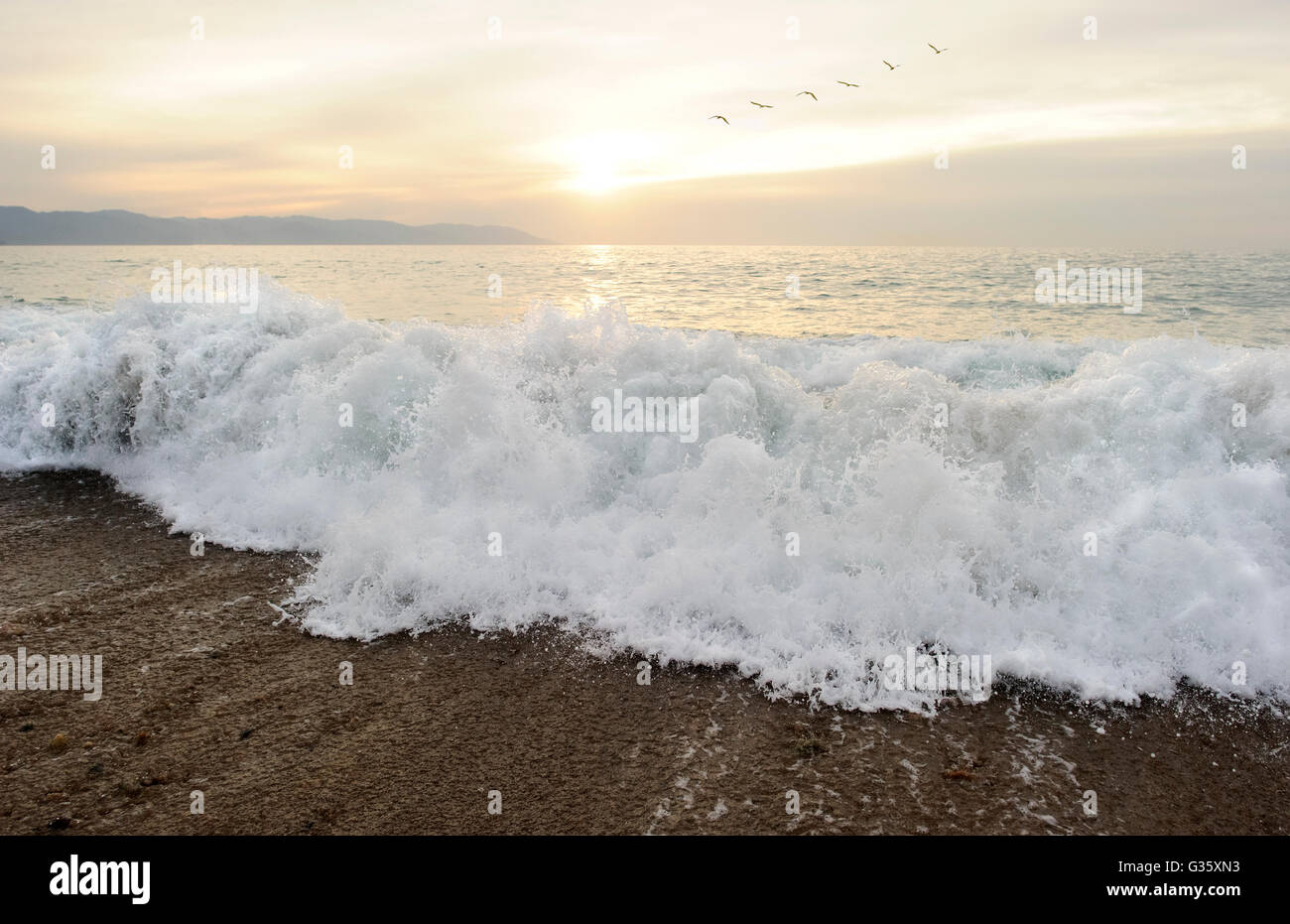 Ocean uccelli è un paesaggio marino con un onda che si infrangono sulla riva come uno stormo di uccelli volare da in background. Foto Stock