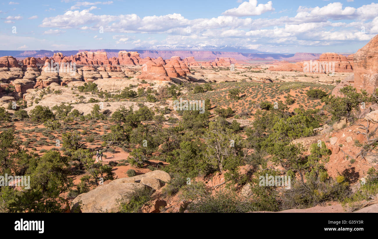 Gli escursionisti sulla Elephant Hill/Chesler Park Trail, nel distretto di aghi del Parco Nazionale di Canyonlands, vicino a Moab, Utah. Foto Stock